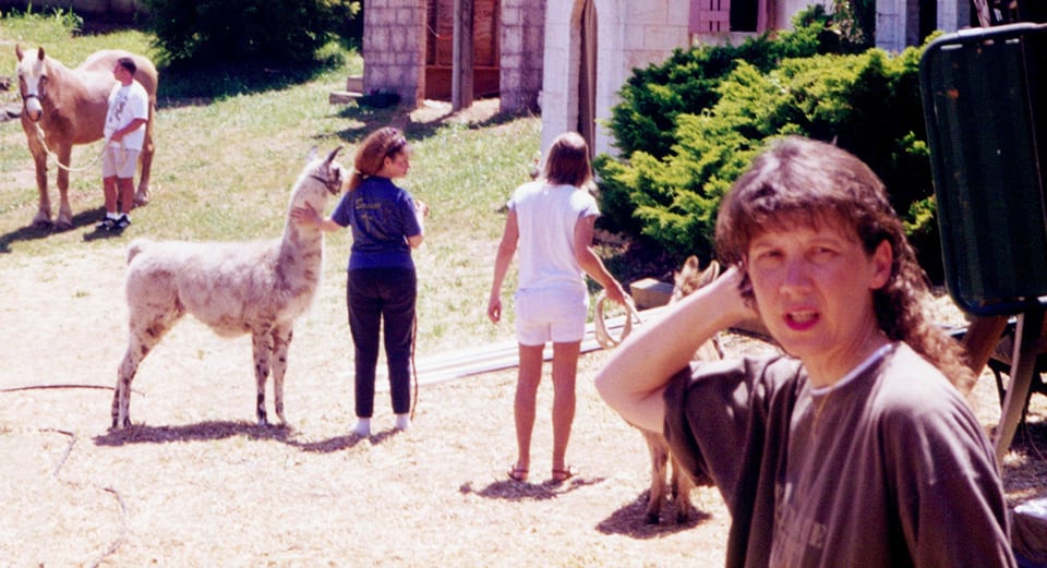 animals arrive for stage