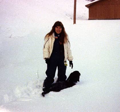 basset hound in snow