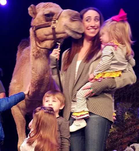camel petting zoo
