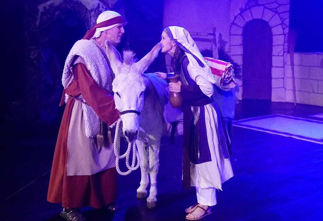 donkey carrying Jesus