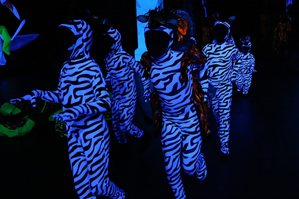 Zebras Blacklight